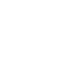 Icons_lakes BRicks
